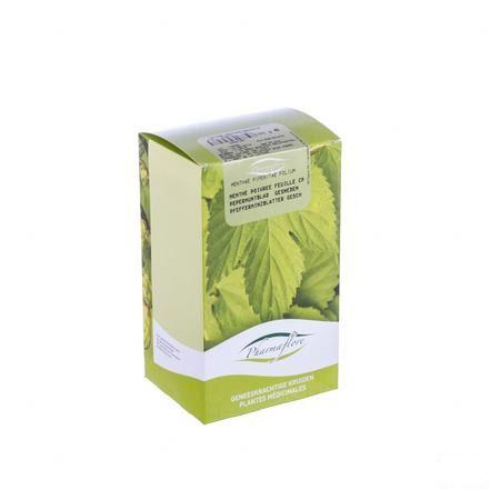 Menthe Poivree Feuille Coupee Boite 100 gr  -  Fagron