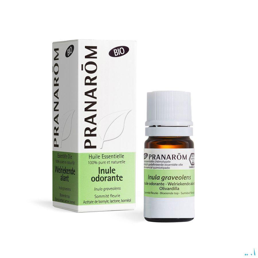 Inule Odorante Bio Huile Essentielle 5 ml  -  Pranarom
