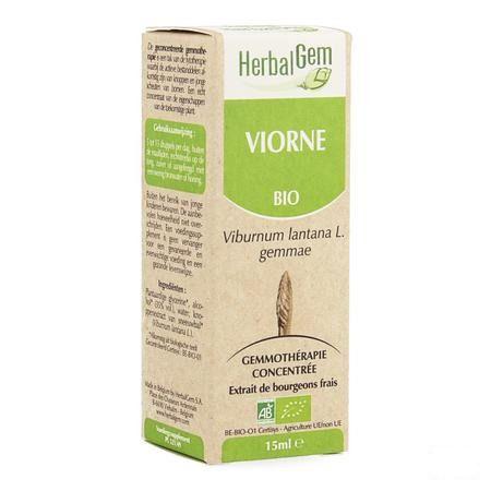 Herbalgem Wollige Sneeuwbal Maceraat 15 ml  -  Herbalgem