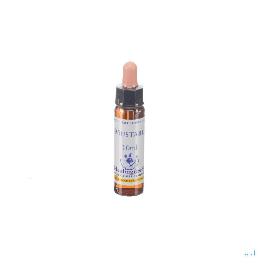 Healing Herbs Mustard 10 ml