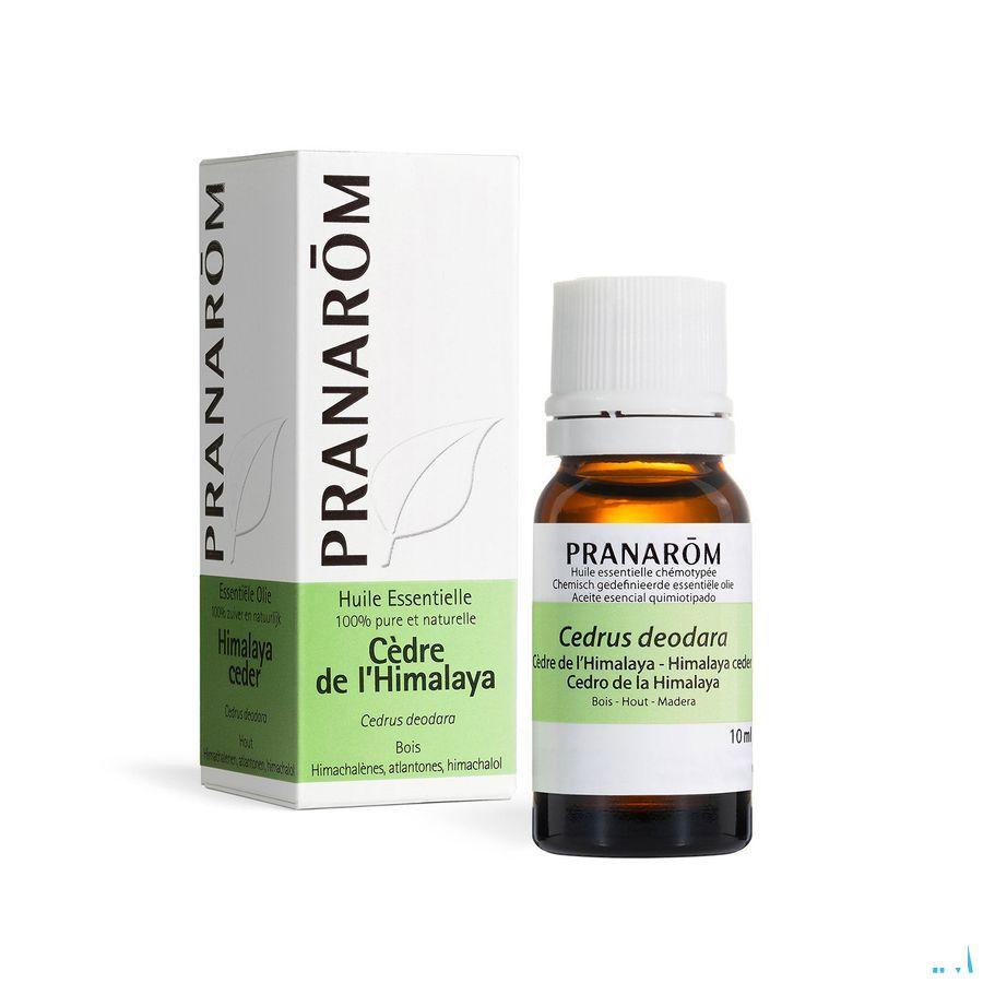 Cedre Himalaya Huile Essentielle 10 ml  -  Pranarom