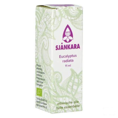 Sjankara Eucalyptus Radiata Ess. Olie Bio 11 ml