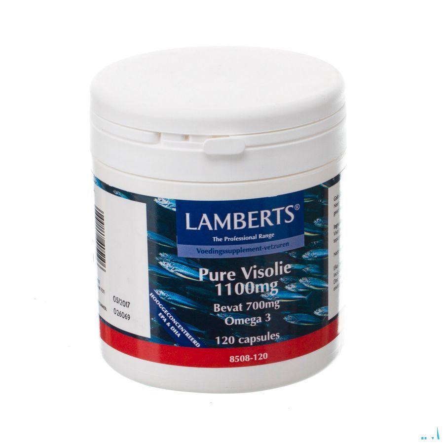 Lamberts Huile Poisson Pur 1100 mg Capsule 120  -  Health Benefits 08