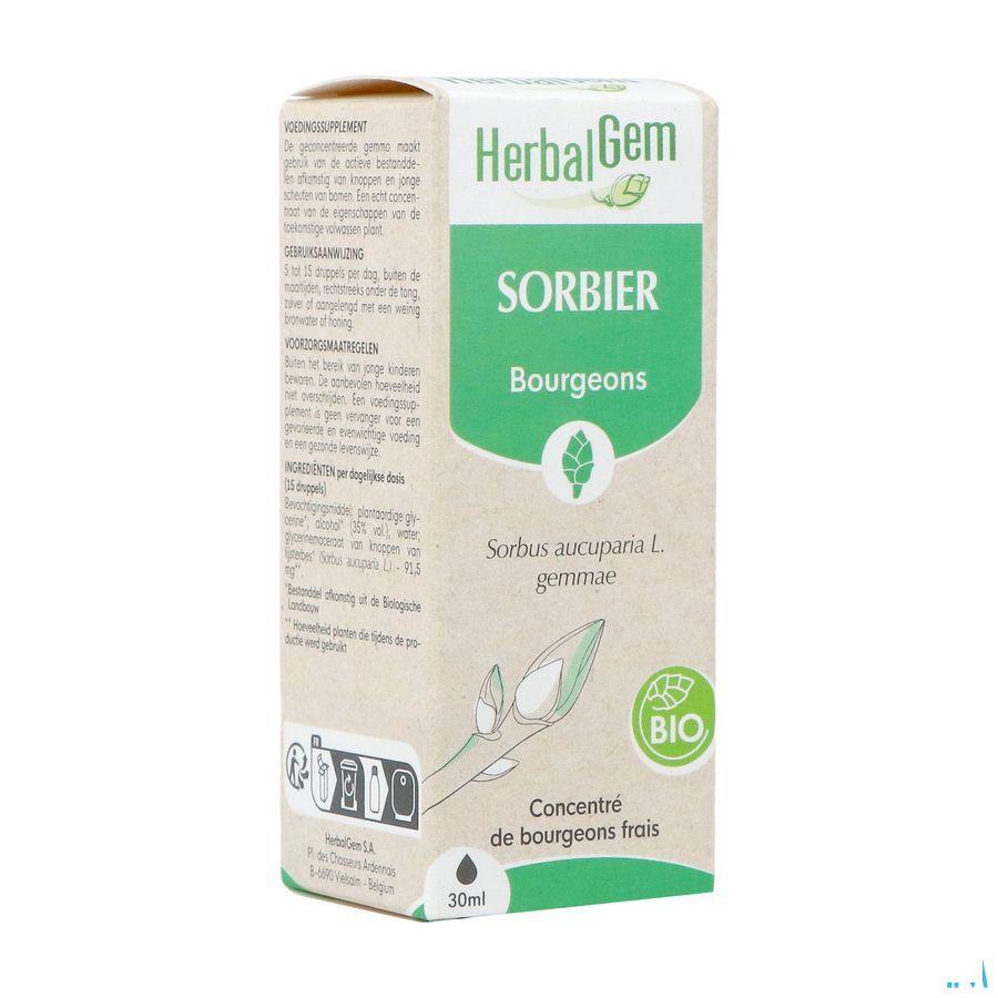 Herbalgem Lijsterbes Bio 30 ml