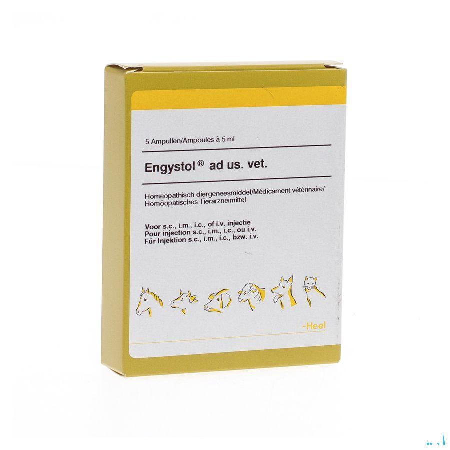 Engystol N Ad Us.Vet Amp 5X5,0 ml