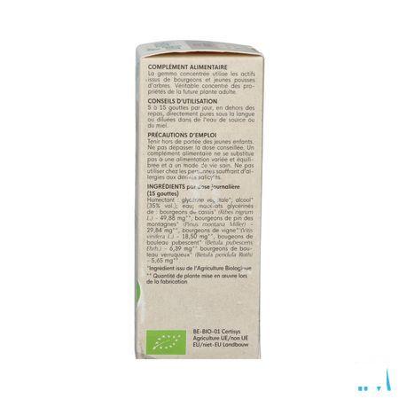 Herbalgem Artigem Bio 30 ml