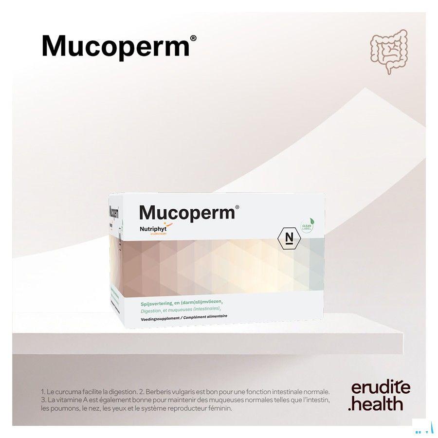 Mucoperm Poeder Zakje 60 X 4g  -  Nutriphyt