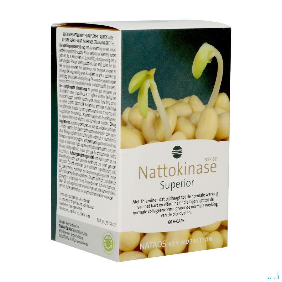 Nattokinase Nsk-Sd Caps 60X100 mg