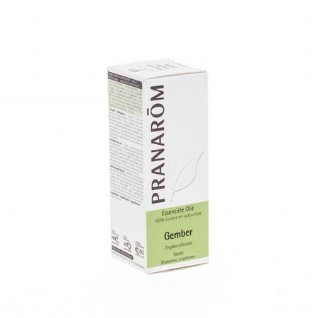 Gember Essentiele Olie 5 ml  -  Pranarom