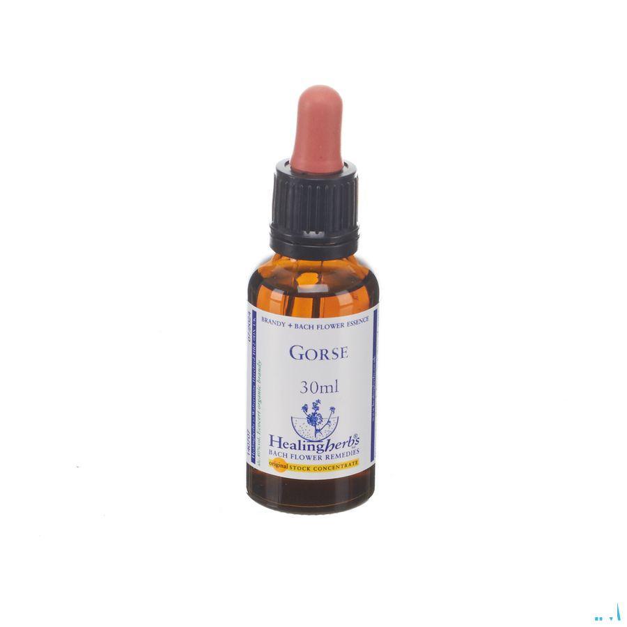 Healing Herbs Gorse 30 ml