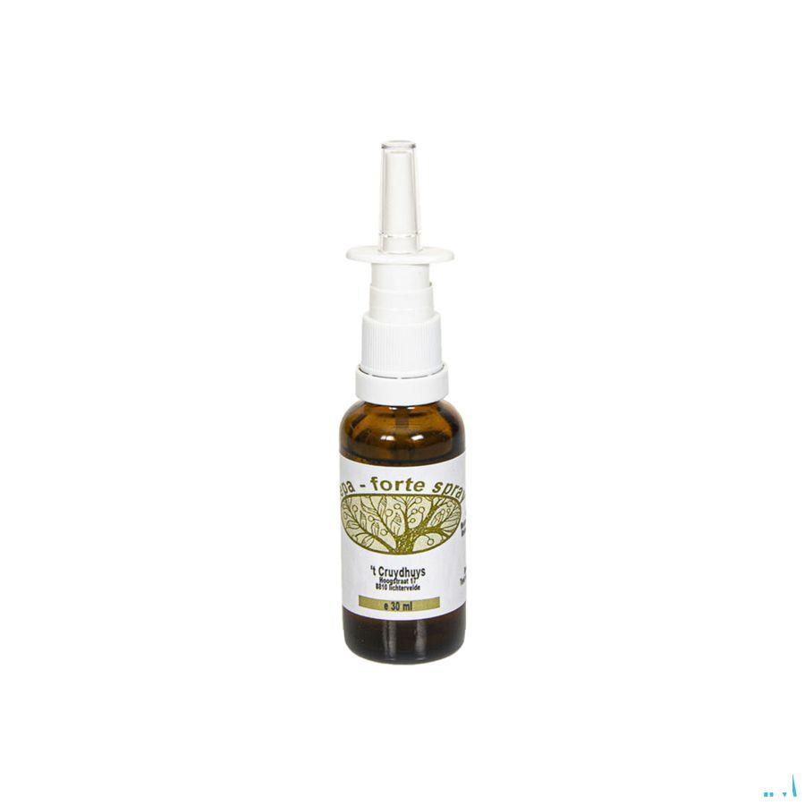 Cepa Forte Neusspray 30 ml 