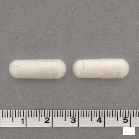 Nutrizinc Synergy 90 VegeCapsule   -  Nutrisan