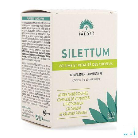 Silettum Gel 60