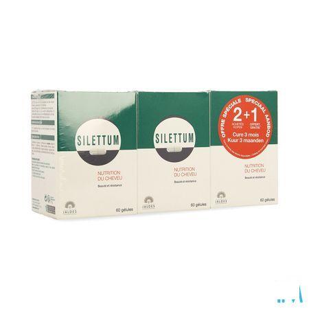 Silettum Cure 3 Mois Gel 3X60