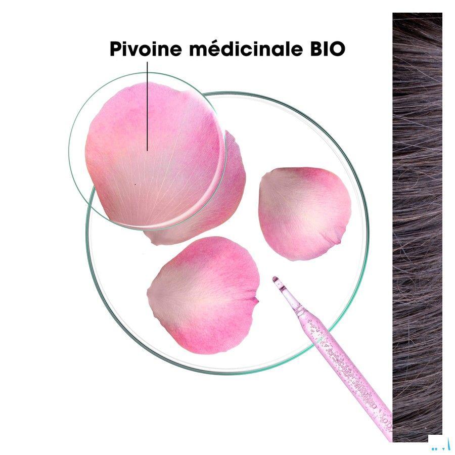 Klorane Capil. Ap/Sh Pivoine Bio 150 ml