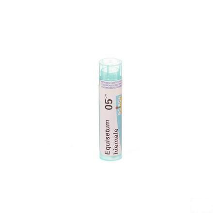 Equisetum Hiemale 5CH Gr 4g  -  Boiron