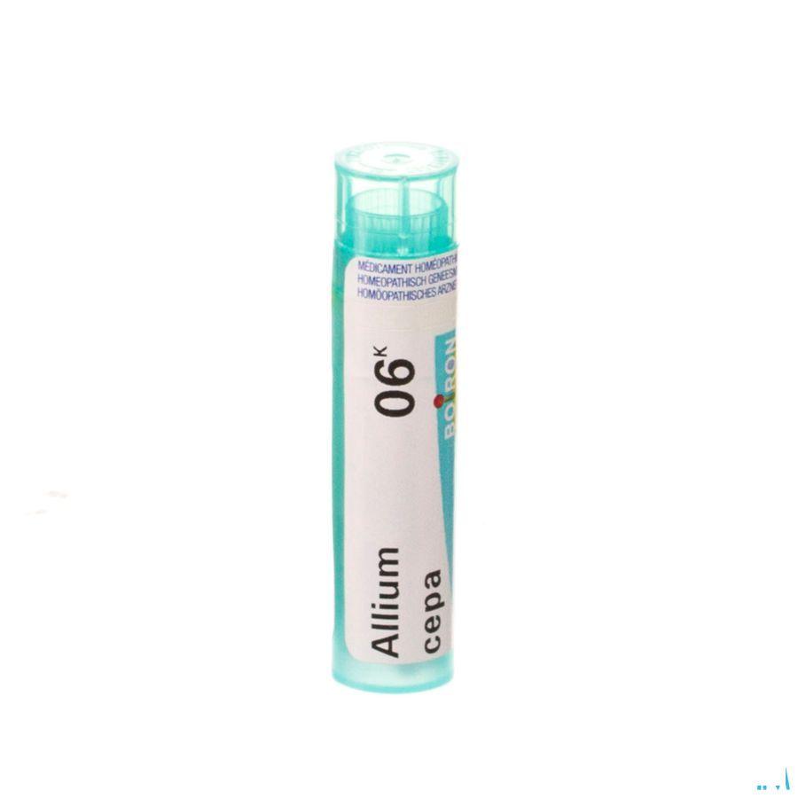 Allium Cepa 6k Gr 4g  -  Boiron