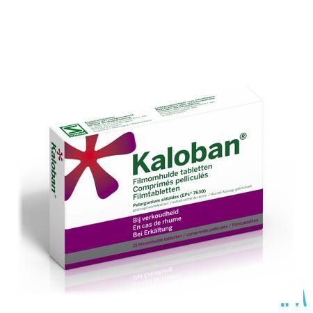 Kaloban 21 Comprimes  -  VSM