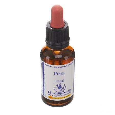 Healing Herbs Pine 30 ml