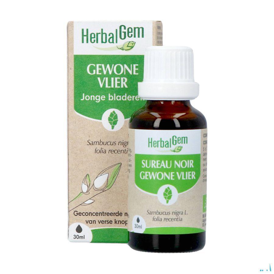 Herbalgem Sureau Noir Bio 30 ml