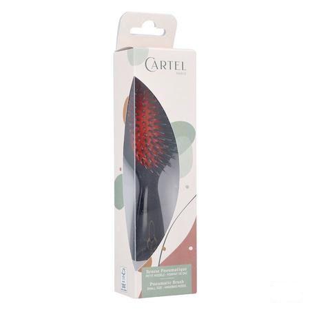 Cartel Brosse Pneumatique Nylon Sanglier Sac  -  Vitry