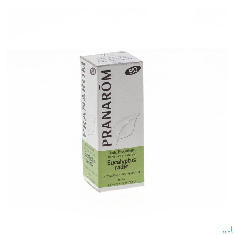 Eucalyptus Radie Bio Essentiele Olie 10 ml  -  Pranarom