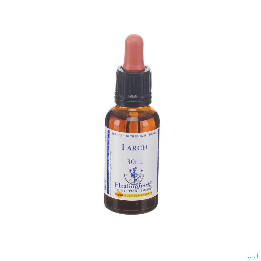 Healing Herbs Larch 30 ml