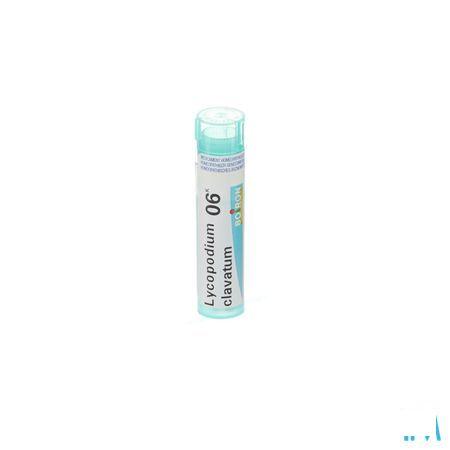 Lycopodium Clavatum 6k Gr 4g  -  Boiron