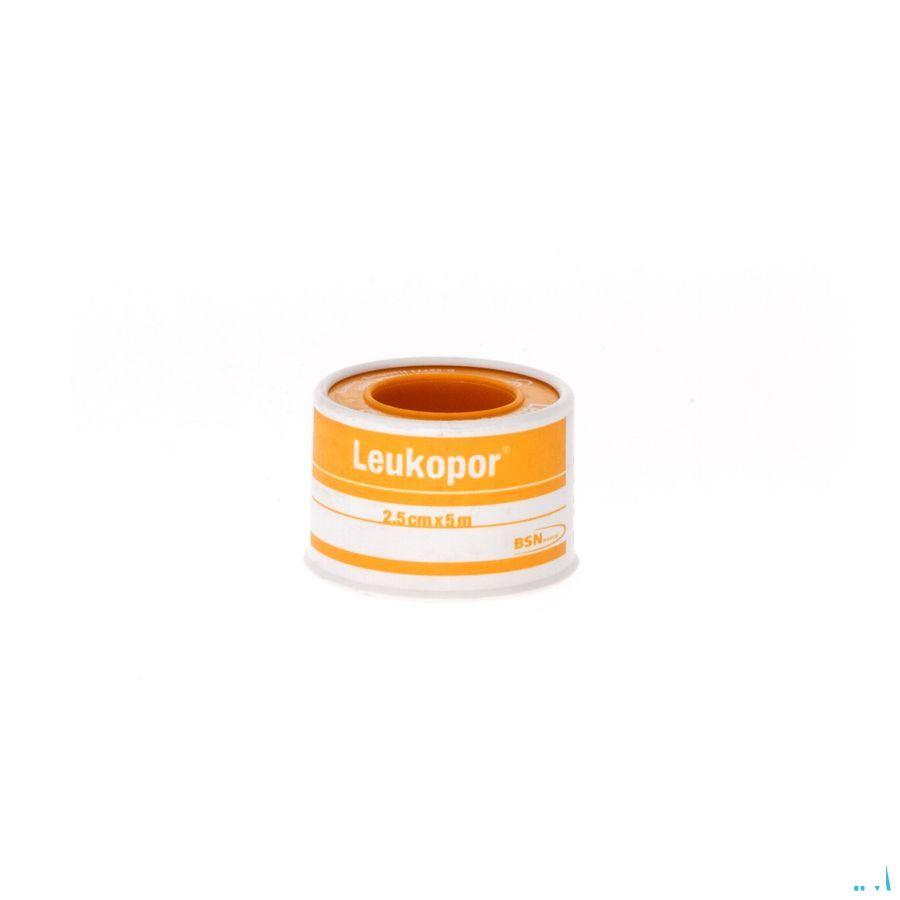 Leukopor Deksel Kleefpleist. 2,50cmx5,0m 1 0247200