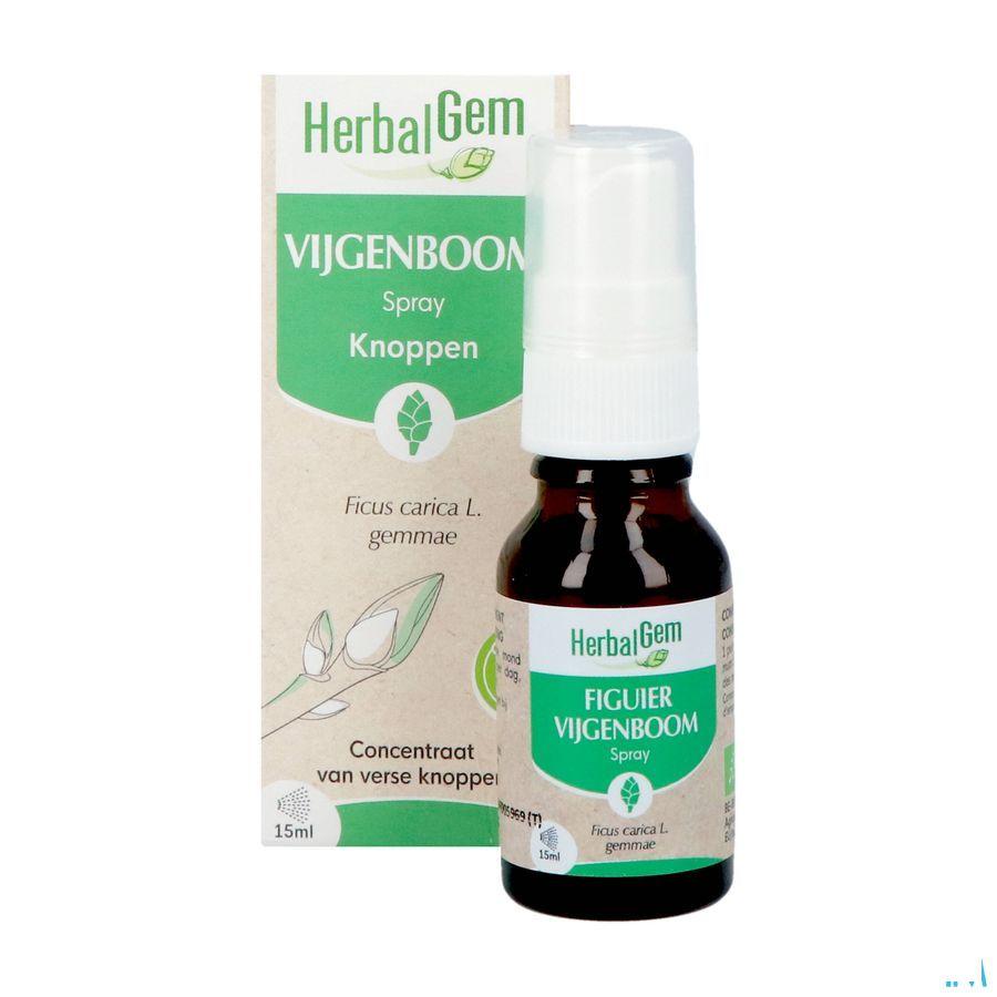 Herbalgem Figuier Bio Spray 15 ml
