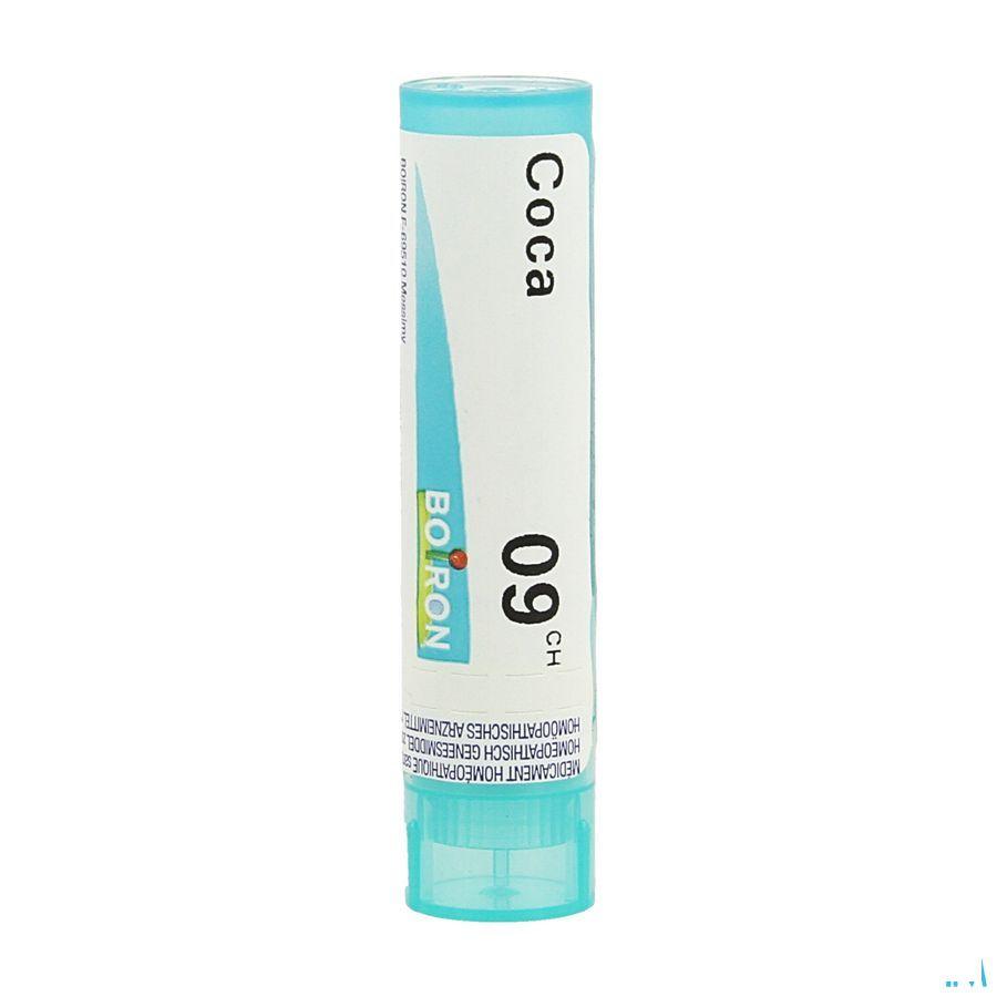 Coca 9CH Gr 4g  -  Boiron