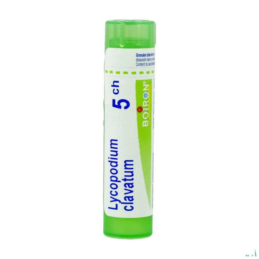Lycopodium Clavatum 5CH Gr 4g  -  Boiron