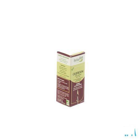 Herbalgem Olijfboom Maceraat 15 ml  -  Herbalgem