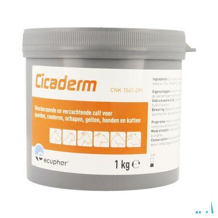 Cicaderm Pommade 1kg  -  Ecuphar