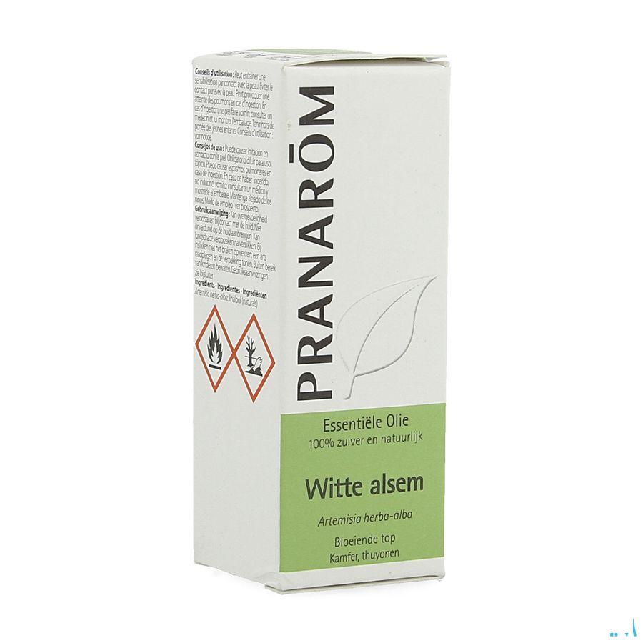 Armoise Blanche Huile Essentielle 10 ml  -  Pranarom