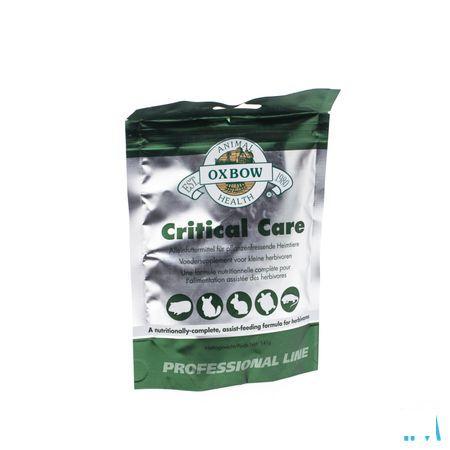 Critical Care Oplosbaar Poeder Zakje 141 gr 