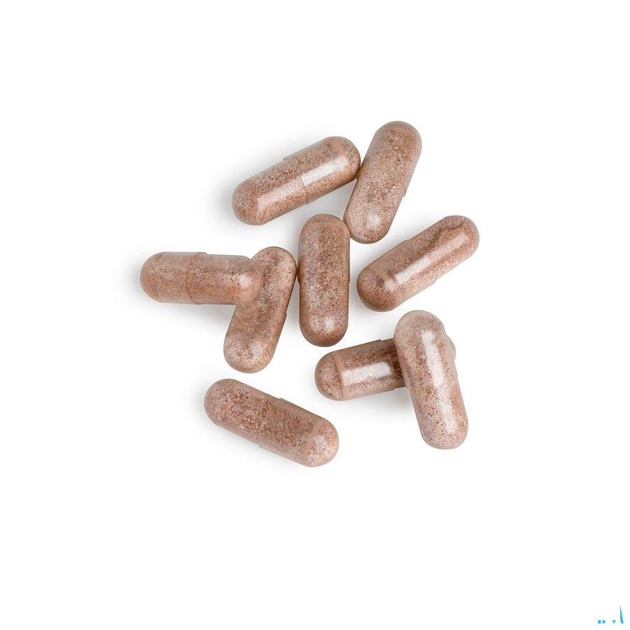 Immunozol Biotics Caps 60  -  Energetica Natura