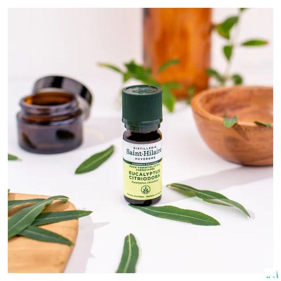 Eucalyptus Citriodora Huile Essentielle 10 ml  -  Bioholistic Diffusion