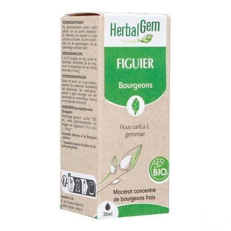 Herbalgem Vijgenboom Bio 30 ml