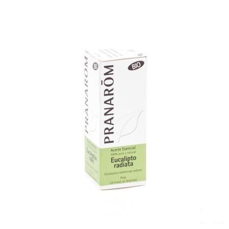 Eucalyptus Radie Bio Essentiele Olie 10 ml  -  Pranarom