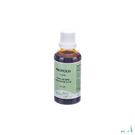 Herbalgem Propolis Tm 50 ml  -  Herbalgem