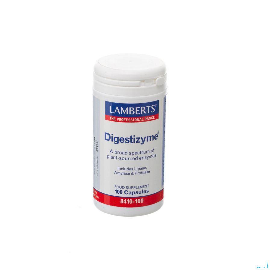 Lamberts Digestizyme V-Capsule 100  -  Health Benefits 08