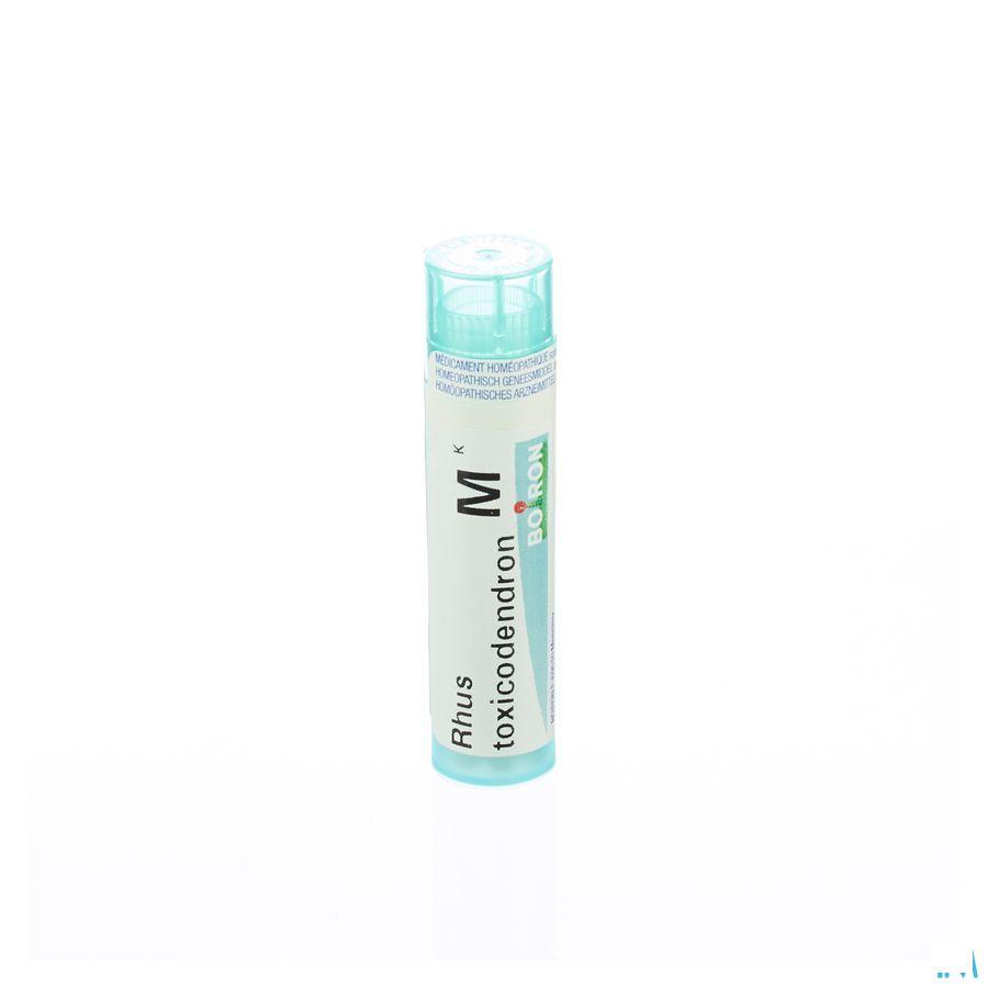Rhus Toxicodendron MK Gr 4g  -  Boiron