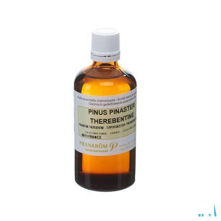 Pinus Pinaster Terebent. Essentiele Olie 100 ml  -  Pranarom