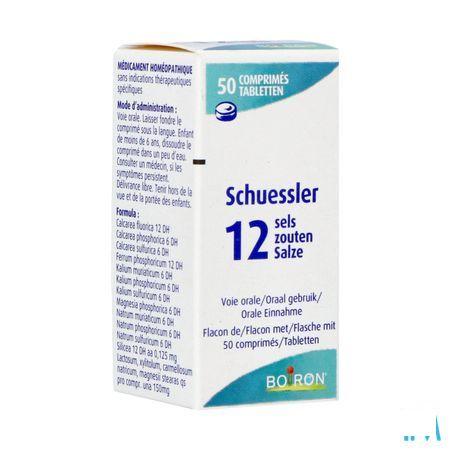 Schuessler 12 Sels 50p  -  Boiron