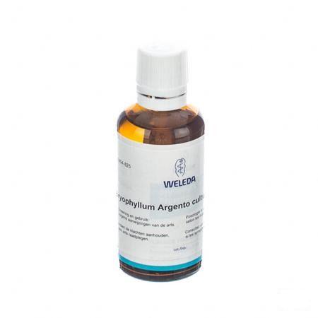 Bryophyllum Ag D2 Gutt 50 ml  -  Weleda