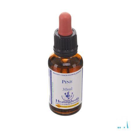 Healing Herbs Pine 30 ml