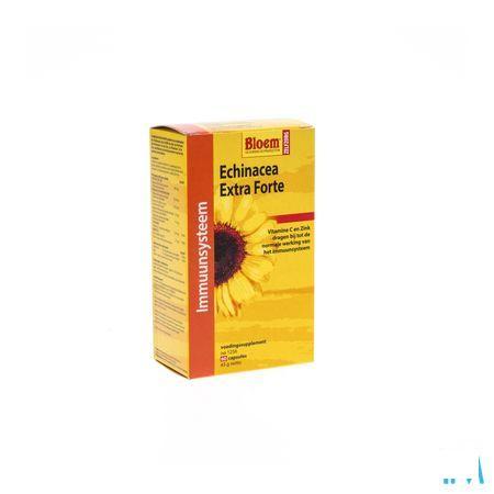 Echinacea Extra Forte Capsule 60