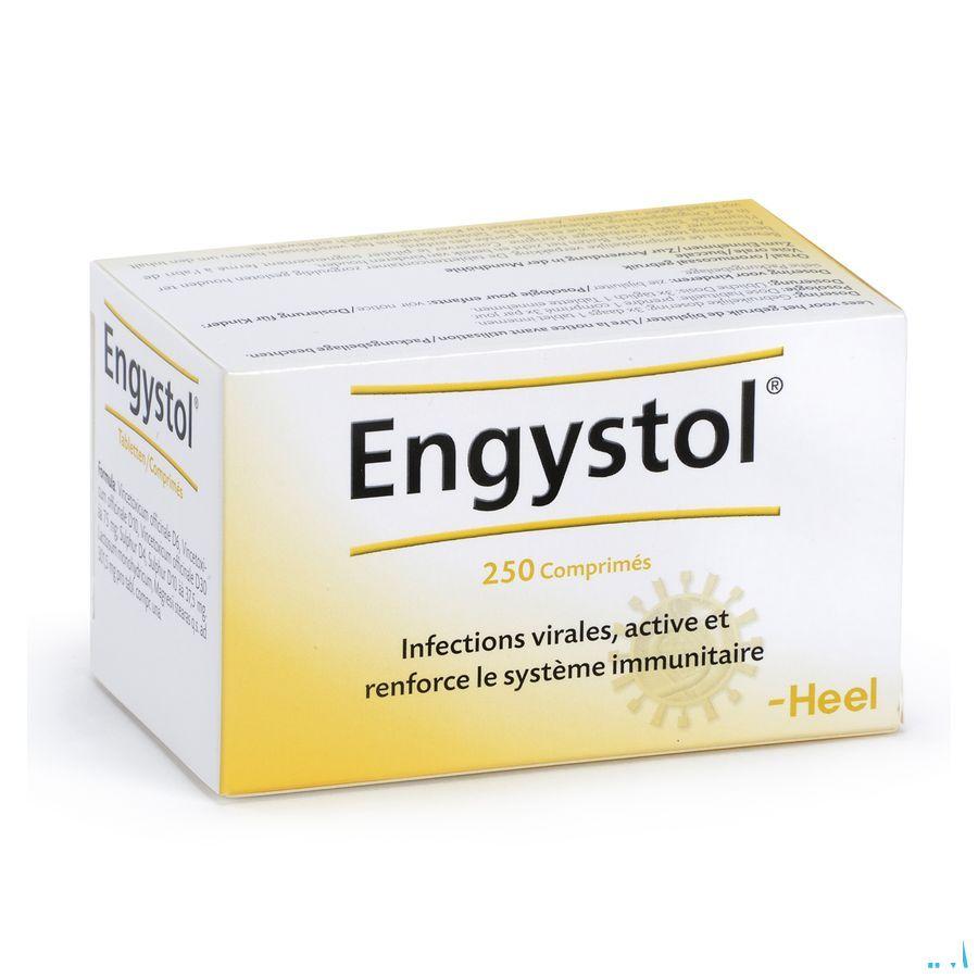 Engystol Comprimes 250  -  Heel