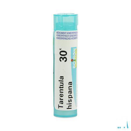 Tarentula Hispana 30K Gr 4g  -  Boiron